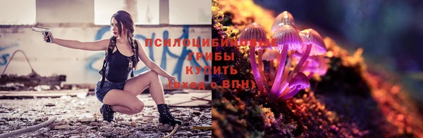 дживик Нязепетровск