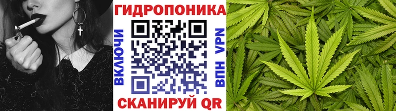 Марихуана MAZAR  darknet состав  Новопавловск 
